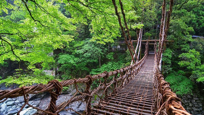Iya Valley Vine Bridge in tokushima, Japan - One of Japan's three most remote regions featuring dramatic mountain gorges, traditional vine bridges swaying over emerald rivers, and preserved thatched-roof villages clinging to steep slopes.