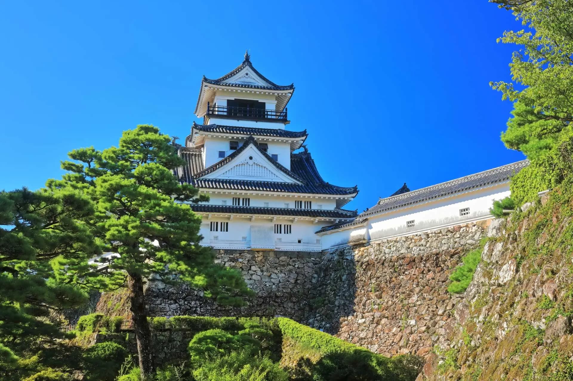 Kochi Castle in kochi, Japan - One of twelve original castles in Japan with intact Edo-period keep, castle palace, and complete defensive structures in downtown Kochi.