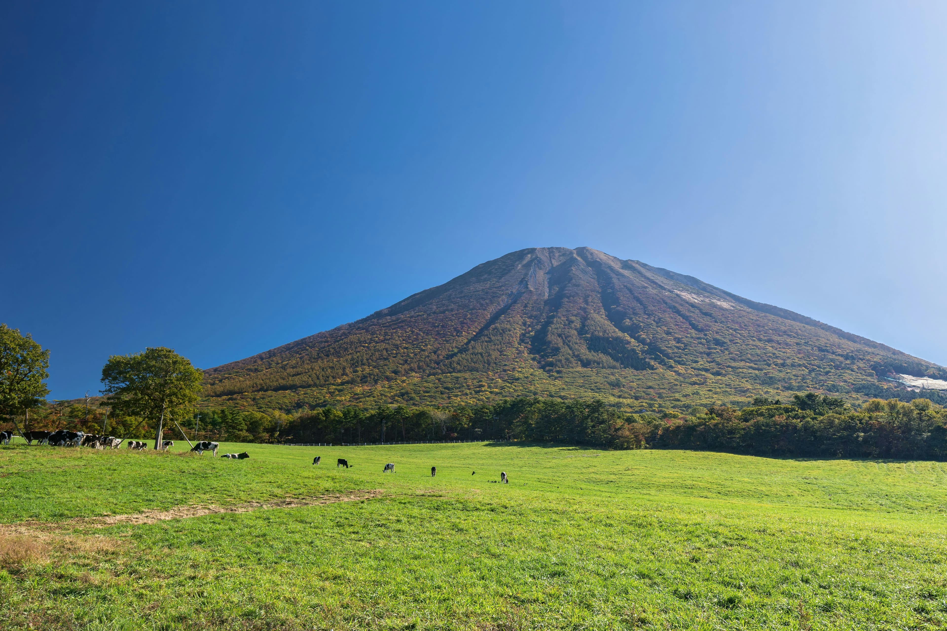 Mount Daisen in tottori, Japan - Western Japan's highest peak at 1,729 meters, often called the 'Mount Fuji of the West' for its conical shape, featuring hiking trails, ancient temples, alpine meadows, and ski resorts.