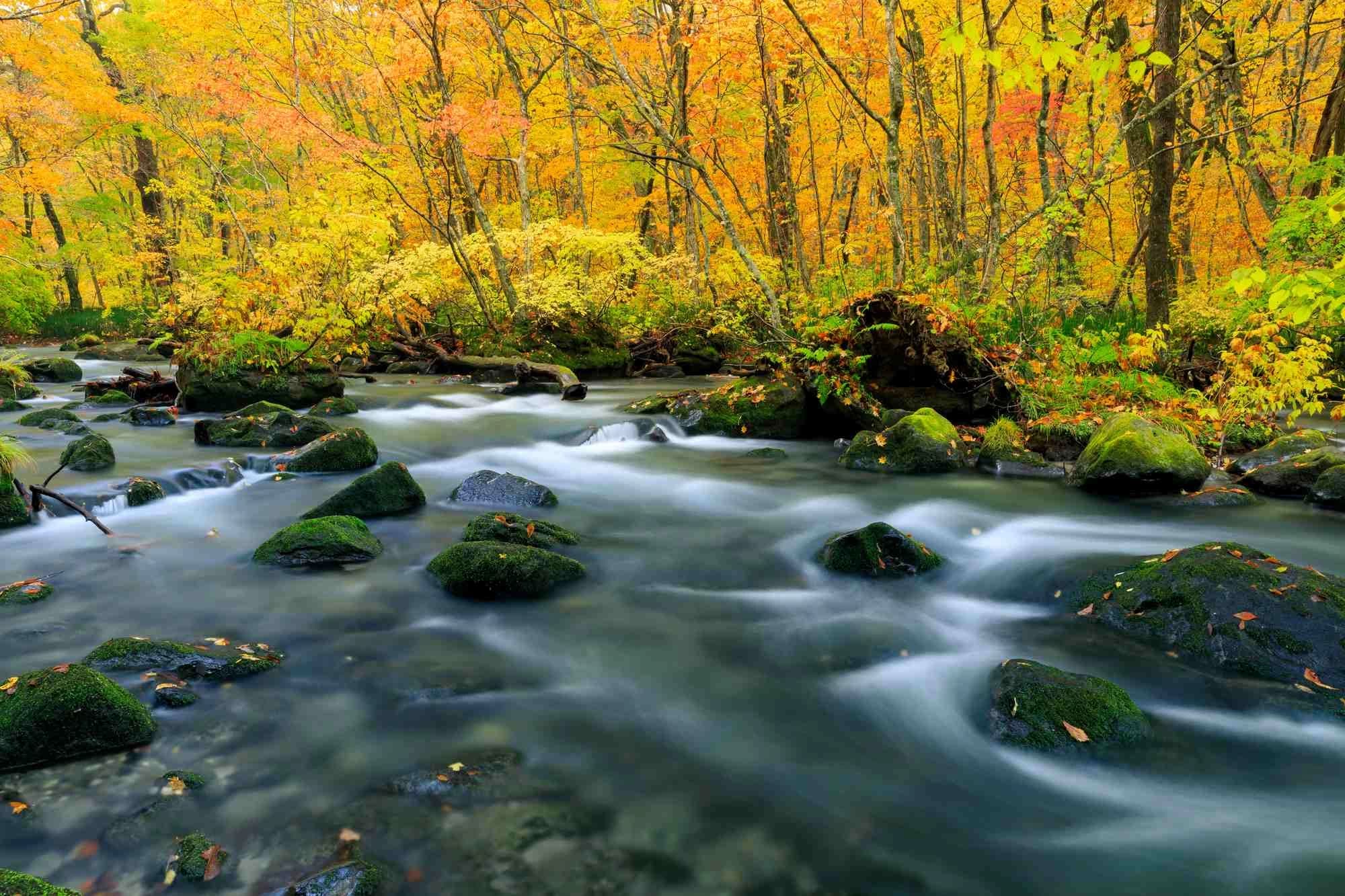 Oirase Gorge in aomori, Japan - A pristine 14-kilometer mountain stream flowing through moss-covered forests, featuring dozens of waterfalls, crystal-clear waters, and Japan's most celebrated autumn foliage.