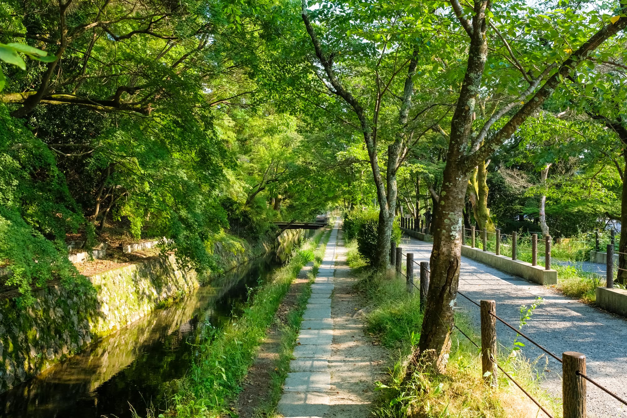 Philosopher's Path in kyoto, Japan - Scenic 2-kilometer walking trail along a cherry tree-lined canal, connecting temples and offering peaceful contemplation in Kyoto's Higashiyama district.