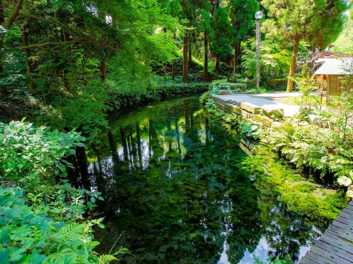 Shirakawa Water Source in kumamoto, Japan - A pristine natural spring producing 60 tons of crystal-clear water per minute, located in the foothills of Mt. Aso and designated one of Japan's top 100 water sources.