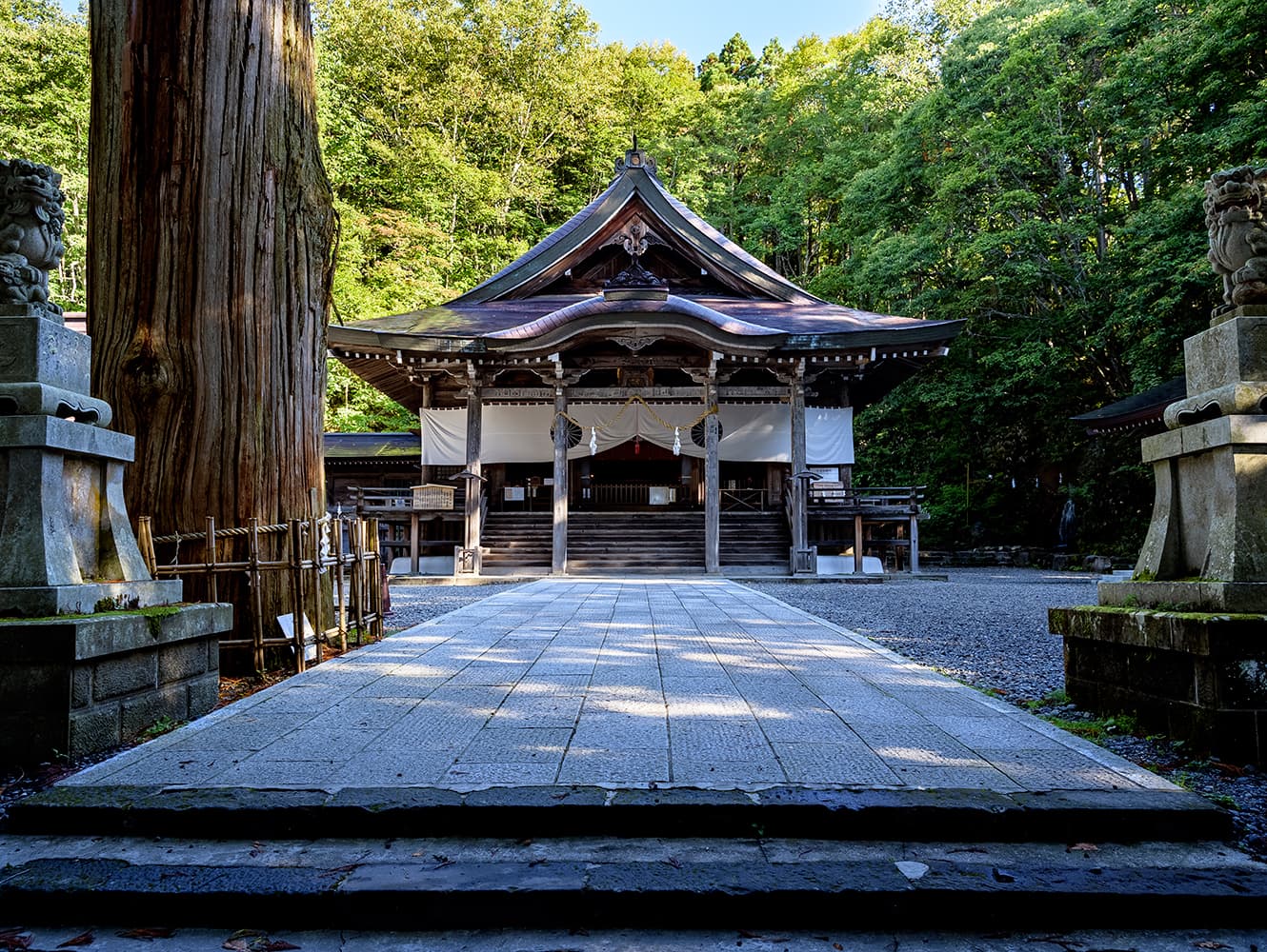 Togakushi Shrine in nagano, Japan - An ancient shrine complex spread across a forested mountain, famous for a stunning approach through 400-year-old cedar trees and ninja heritage.
