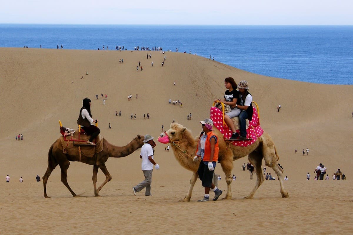 Tottori Sand Dunes in tottori, Japan - Japan's largest sand dune system stretching 16km along the Sea of Japan coast, featuring dramatic windswept landscapes, camel rides, and paragliding over desert-like terrain.