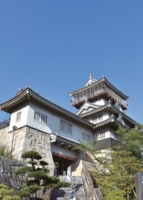 Iwasaki Castle