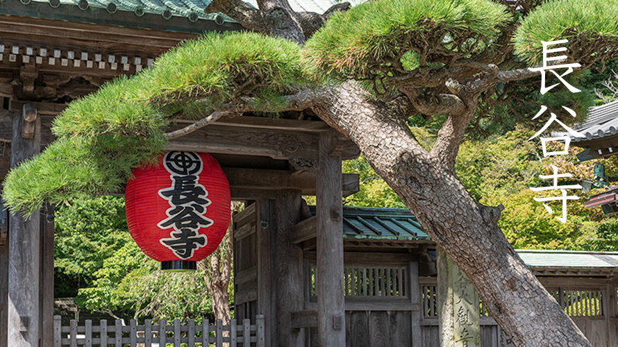 Hasedera Temple (Kamakura) in kanagawa, Japan - A scenic hillside temple famous for its massive wooden Kannon statue, thousands of jizo statues, and seasonal flowers with ocean views over Kamakura's coastline.