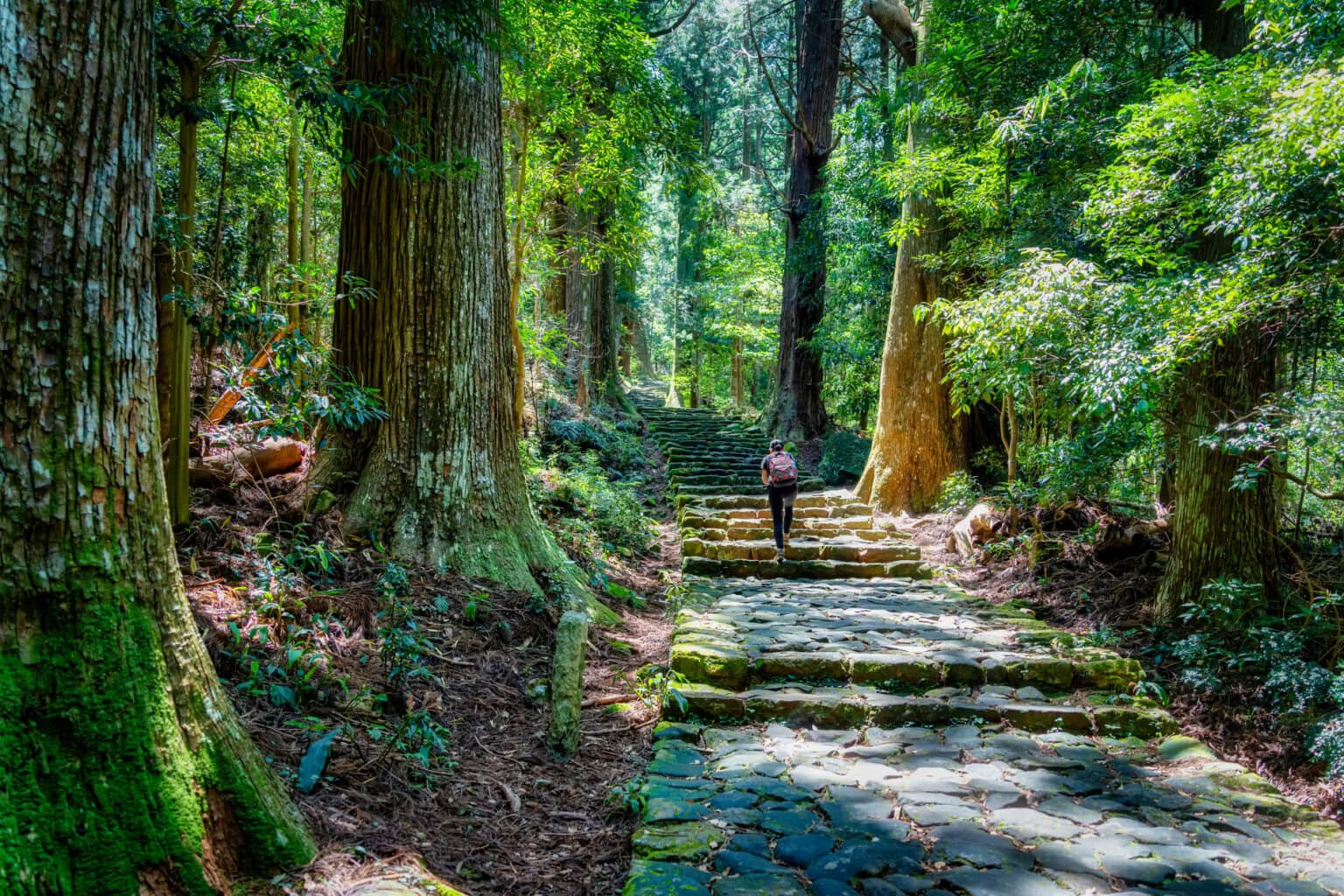 Kumano Kodo Pilgrimage Route in wakayama, Japan - Ancient spiritual pilgrimage trails through the Kii Mountains, connecting sacred sites with centuries-old stone paths through pristine mountain forests.