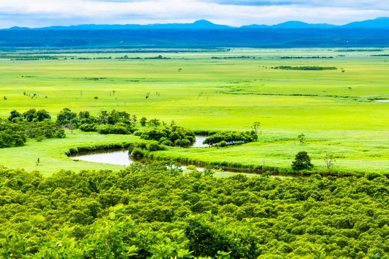 Kushiro Shitsugen National Park in hokkaido, Japan - Japan's largest wetland preserve spanning 28,000 hectares of pristine marshland, home to the endangered red-crowned crane and diverse ecosystems accessible via scenic hiking trails and observation platforms