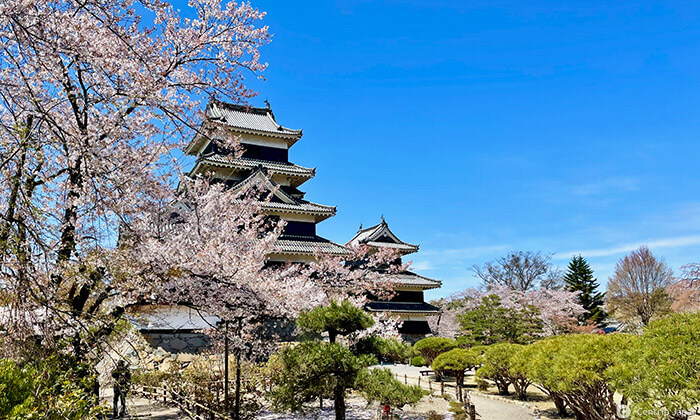 Matsumoto Castle
