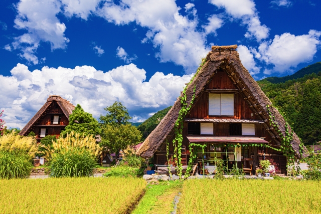Shirakawa-go Village in gifu, Japan - A UNESCO World Heritage village famous for its traditional gassho-zukuri farmhouses with steep thatched roofs designed to withstand heavy snowfall. The village offers a glimpse into rural Japanese life from centuries past.